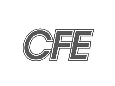 Logo CFE Comision Federal de Electricidad Blanco/Negro